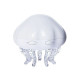 Проектор JellyFish Lamp с Bluetooth и белым шумом – ночник с эффектом волн.