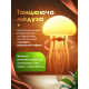 Медуза Ночник с градиентным свечением RGB с подставкой